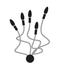 Catellani&Smith, Turciu' 5