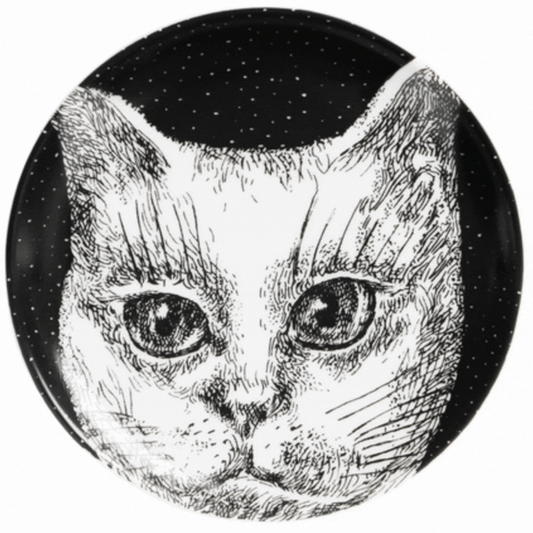 It's a Feline World: Meet Us at the Catwalk