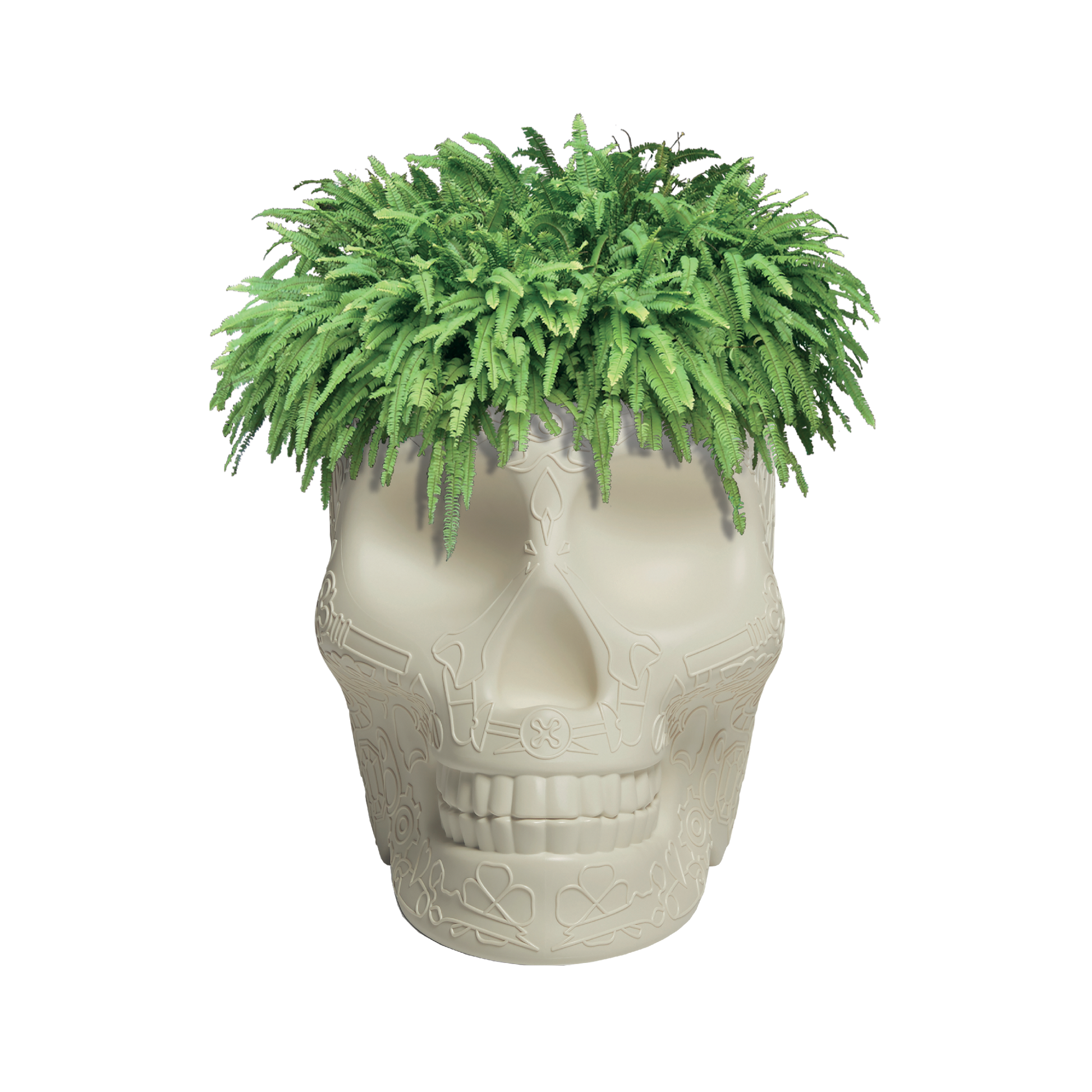 MEXICO Planter and Champagne Cooler by Studio Job - Milk Concept Boutique