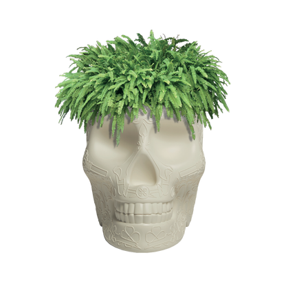 MEXICO Planter and Champagne Cooler by Studio Job - Milk Concept Boutique