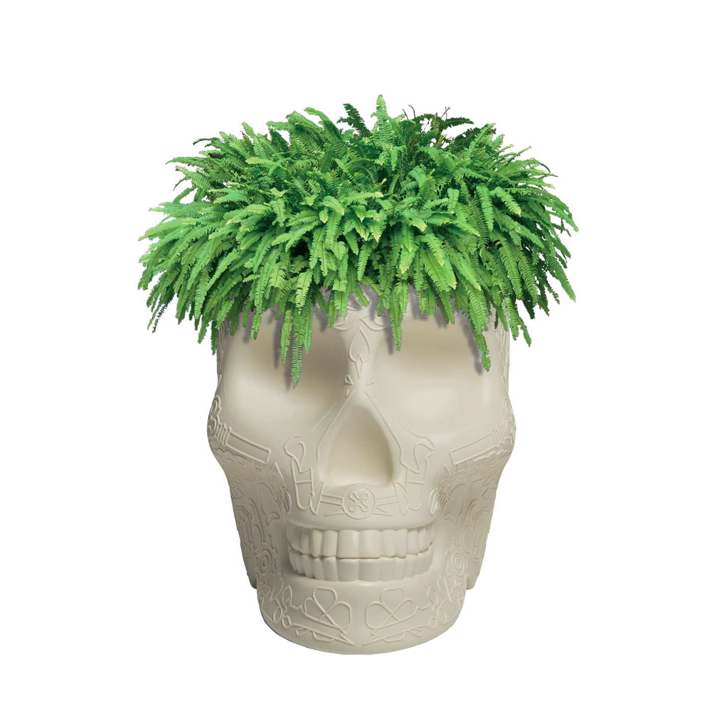 MEXICO Planter and Champagne Cooler by Studio Job - Milk Concept Boutique