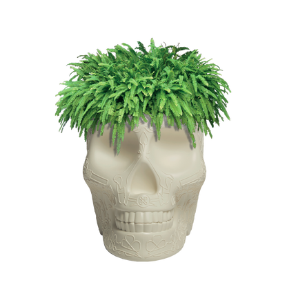 MEXICO Planter and Champagne Cooler by Studio Job - Milk Concept Boutique
