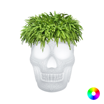 MEXICO Planter and Champagne Cooler Lamp with rechargeable Led by Studio Job - Milk Concept Boutique