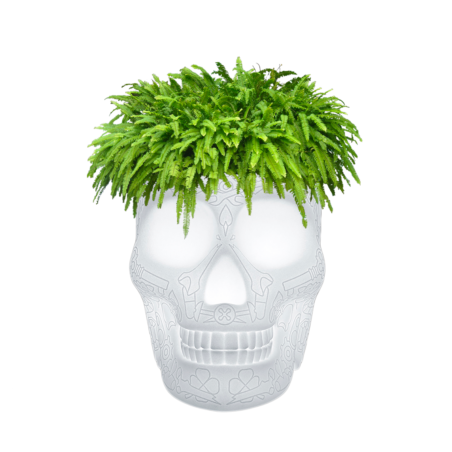 MEXICO Planter and Champagne Cooler Lamp with rechargeable Led by Studio Job - Milk Concept Boutique