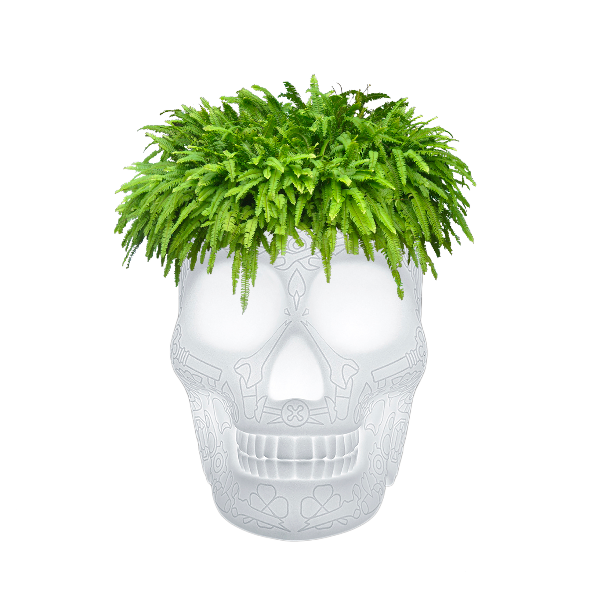 MEXICO Planter and Champagne Cooler Lamp with rechargeable Led by Studio Job - Milk Concept Boutique
