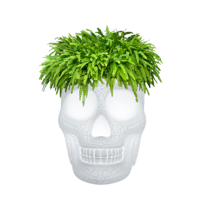 MEXICO Planter and Champagne Cooler Lamp with rechargeable Led by Studio Job - Milk Concept Boutique