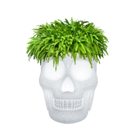 MEXICO Planter and Champagne Cooler Lamp with rechargeable Led by Studio Job - Milk Concept Boutique