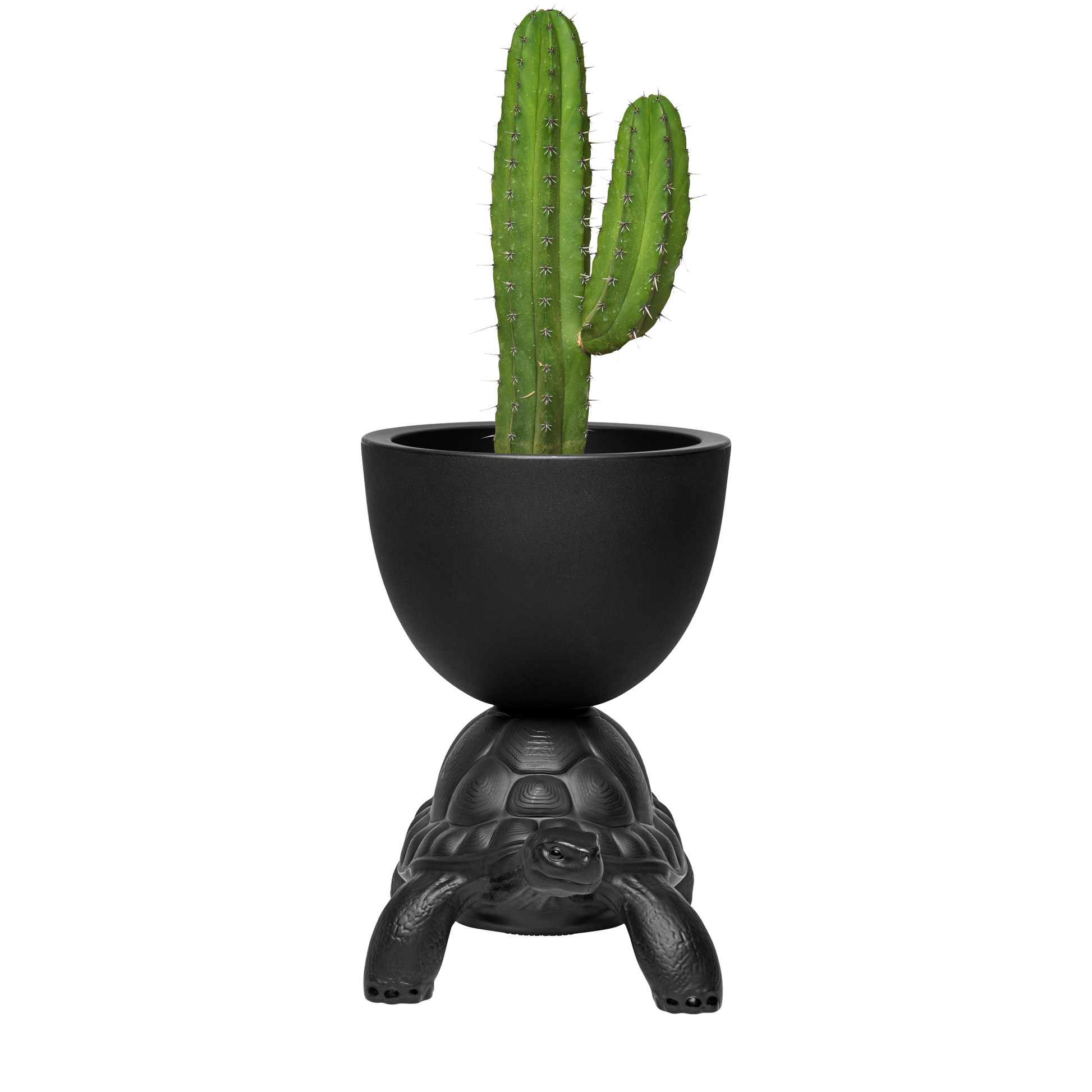 Turtle Carry Planter by Marcantonio - Milk Concept Boutique