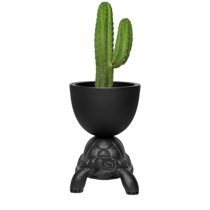 Turtle Carry Planter by Marcantonio - Milk Concept Boutique