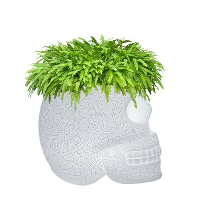 MEXICO Planter and Champagne Cooler Lamp with rechargeable Led by Studio Job - Milk Concept Boutique