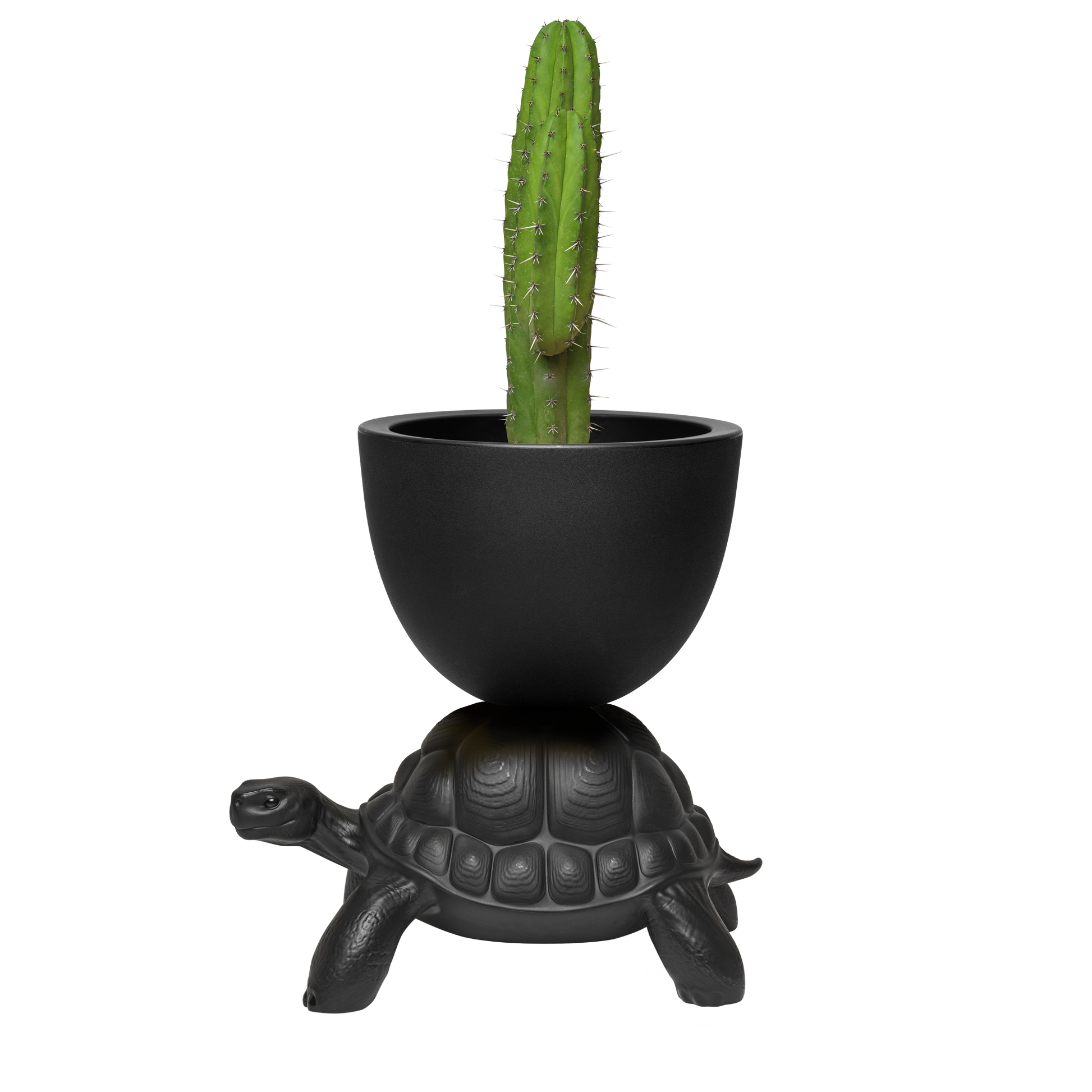 Turtle Carry Planter by Marcantonio - Milk Concept Boutique