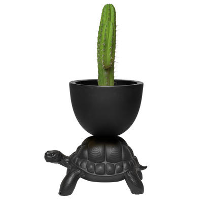 Turtle Carry Planter by Marcantonio - Milk Concept Boutique