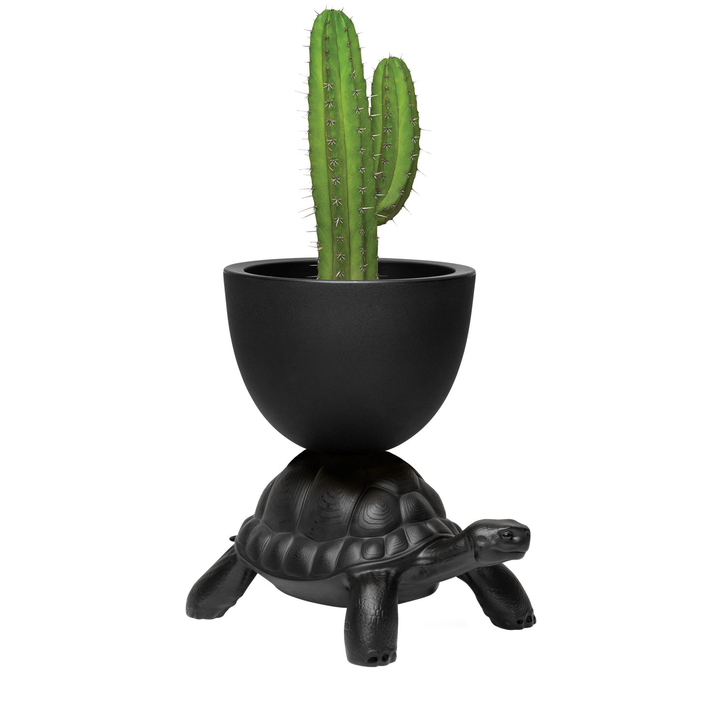 Turtle Carry Planter by Marcantonio - Milk Concept Boutique