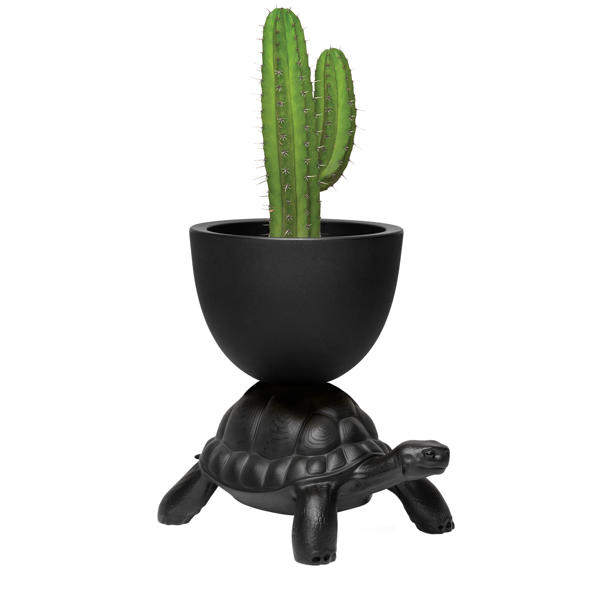 Turtle Carry Planter by Marcantonio - Milk Concept Boutique
