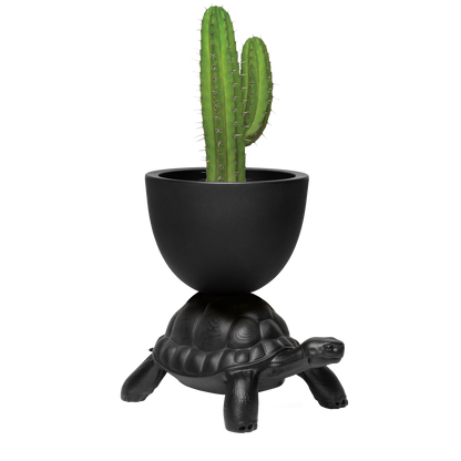 Turtle Carry Planter by Marcantonio - Milk Concept Boutique