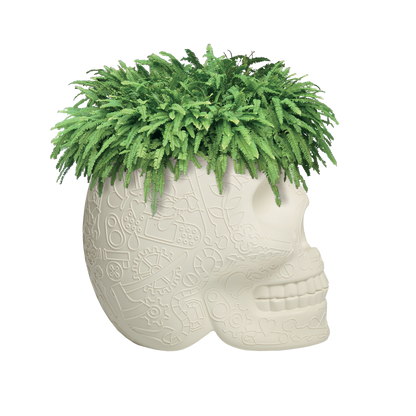MEXICO Planter and Champagne Cooler by Studio Job - Milk Concept Boutique