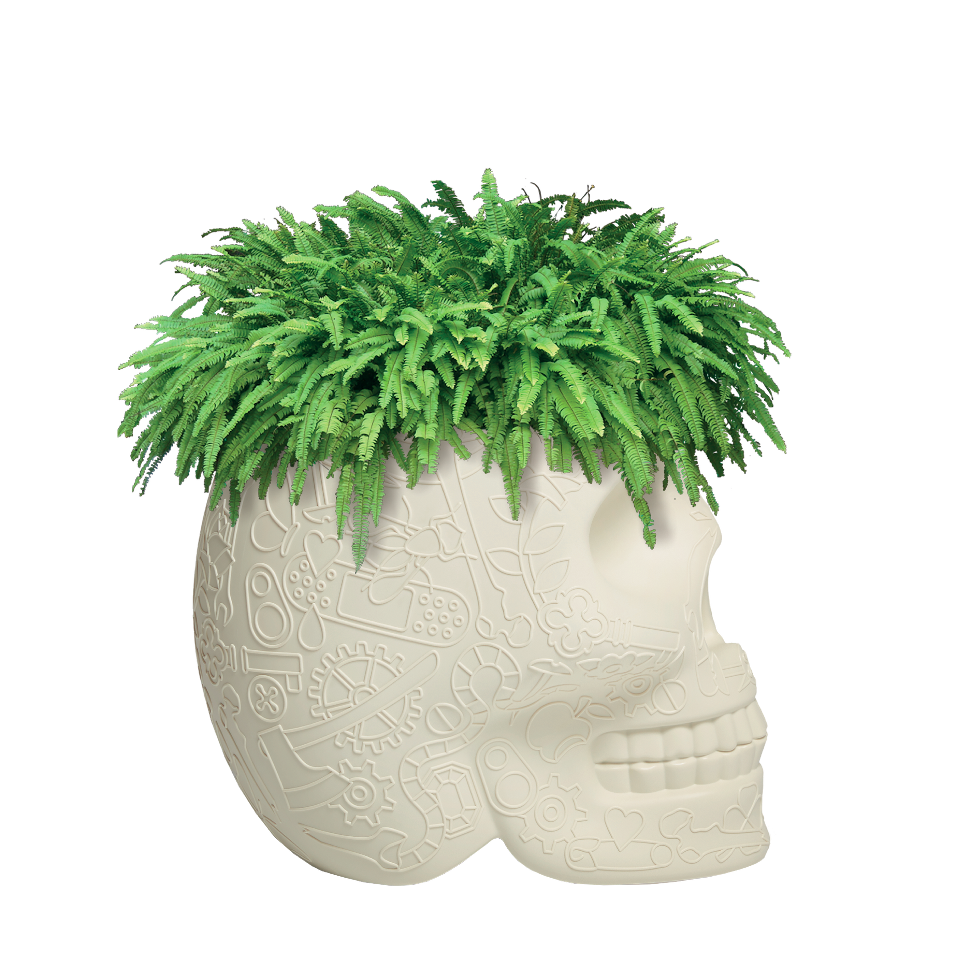 MEXICO Planter and Champagne Cooler by Studio Job - Milk Concept Boutique