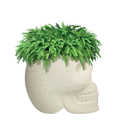 MEXICO Planter and Champagne Cooler by Studio Job - Milk Concept Boutique