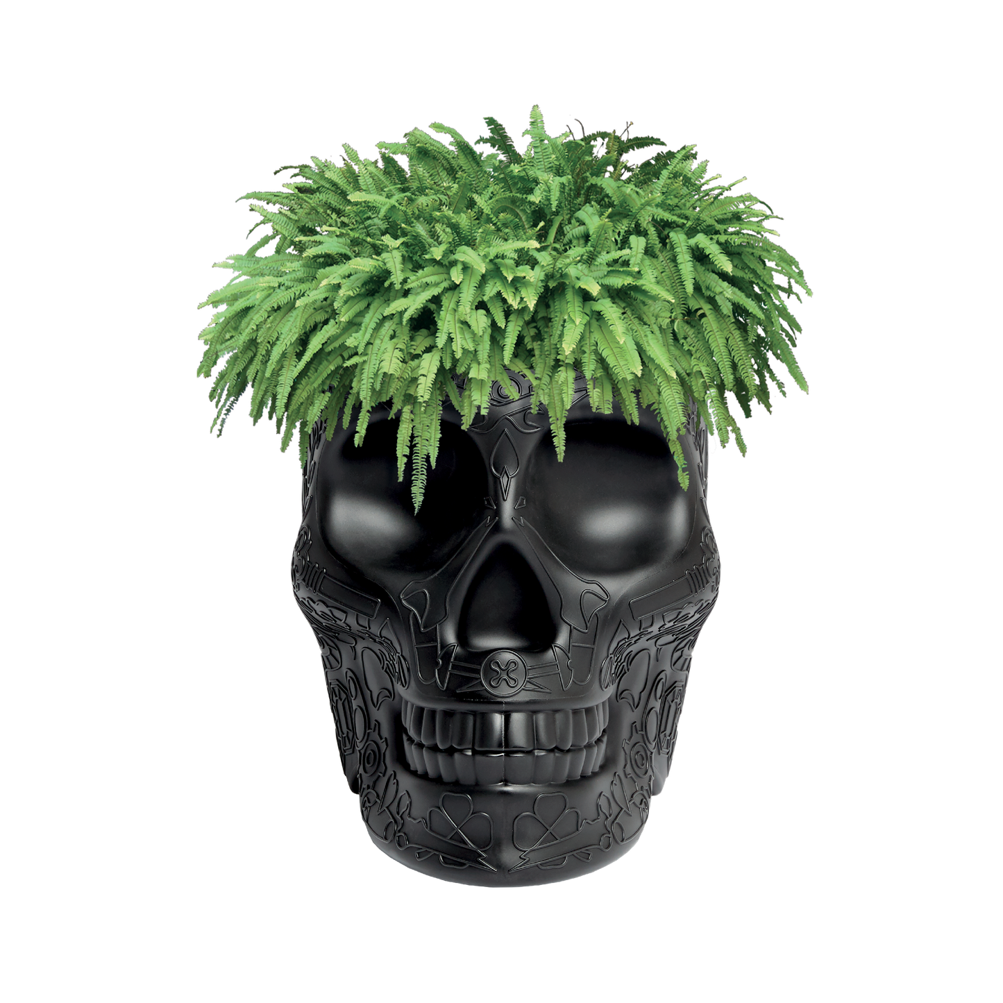 MEXICO Planter and Champagne Cooler by Studio Job - Milk Concept Boutique