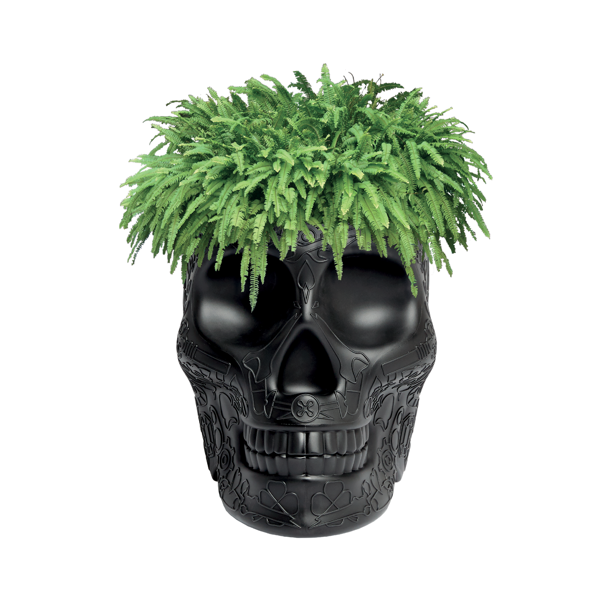 MEXICO Planter and Champagne Cooler by Studio Job - Milk Concept Boutique