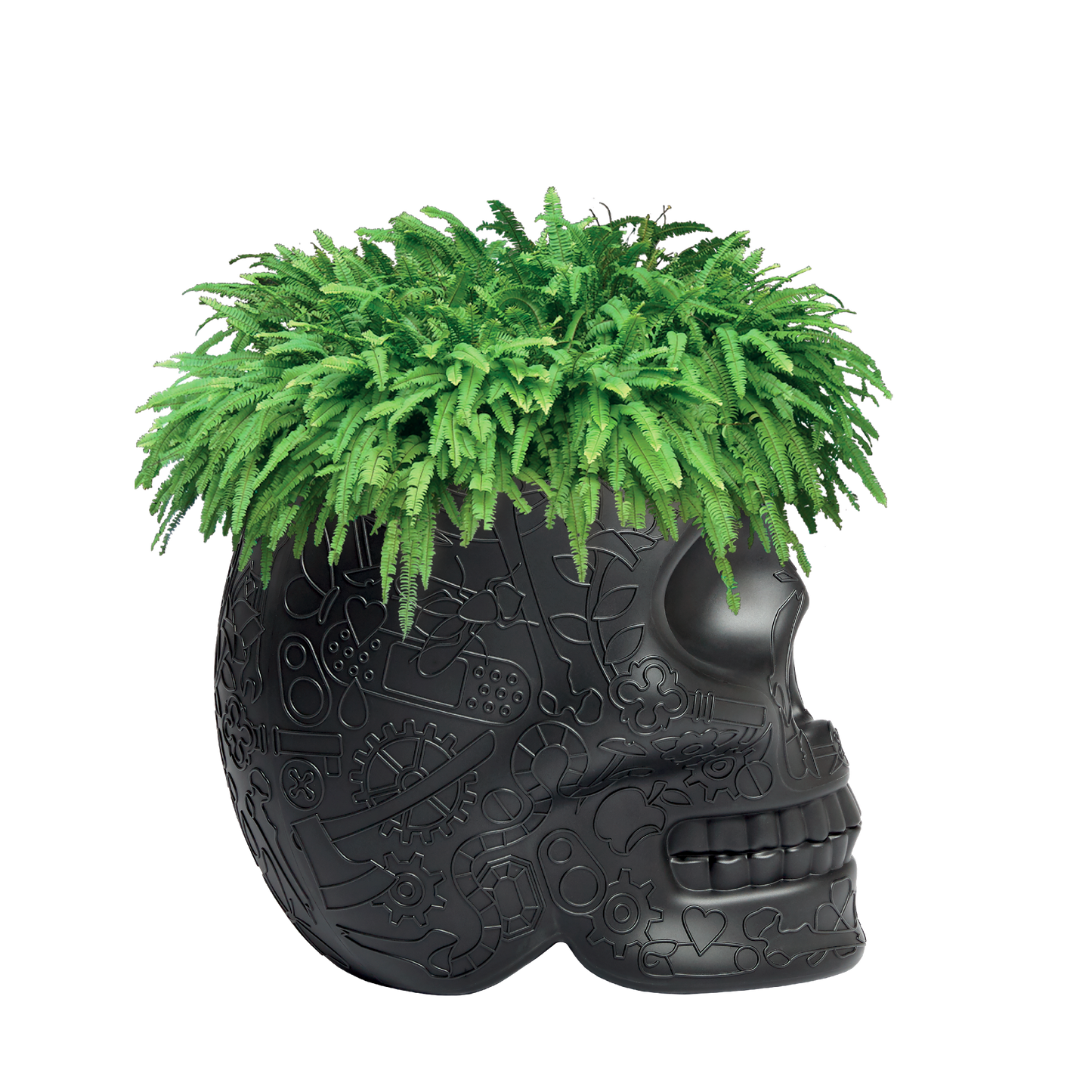 MEXICO Planter and Champagne Cooler by Studio Job - Milk Concept Boutique