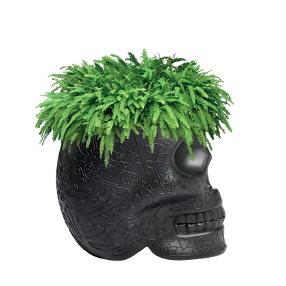 MEXICO Planter and Champagne Cooler by Studio Job - Milk Concept Boutique