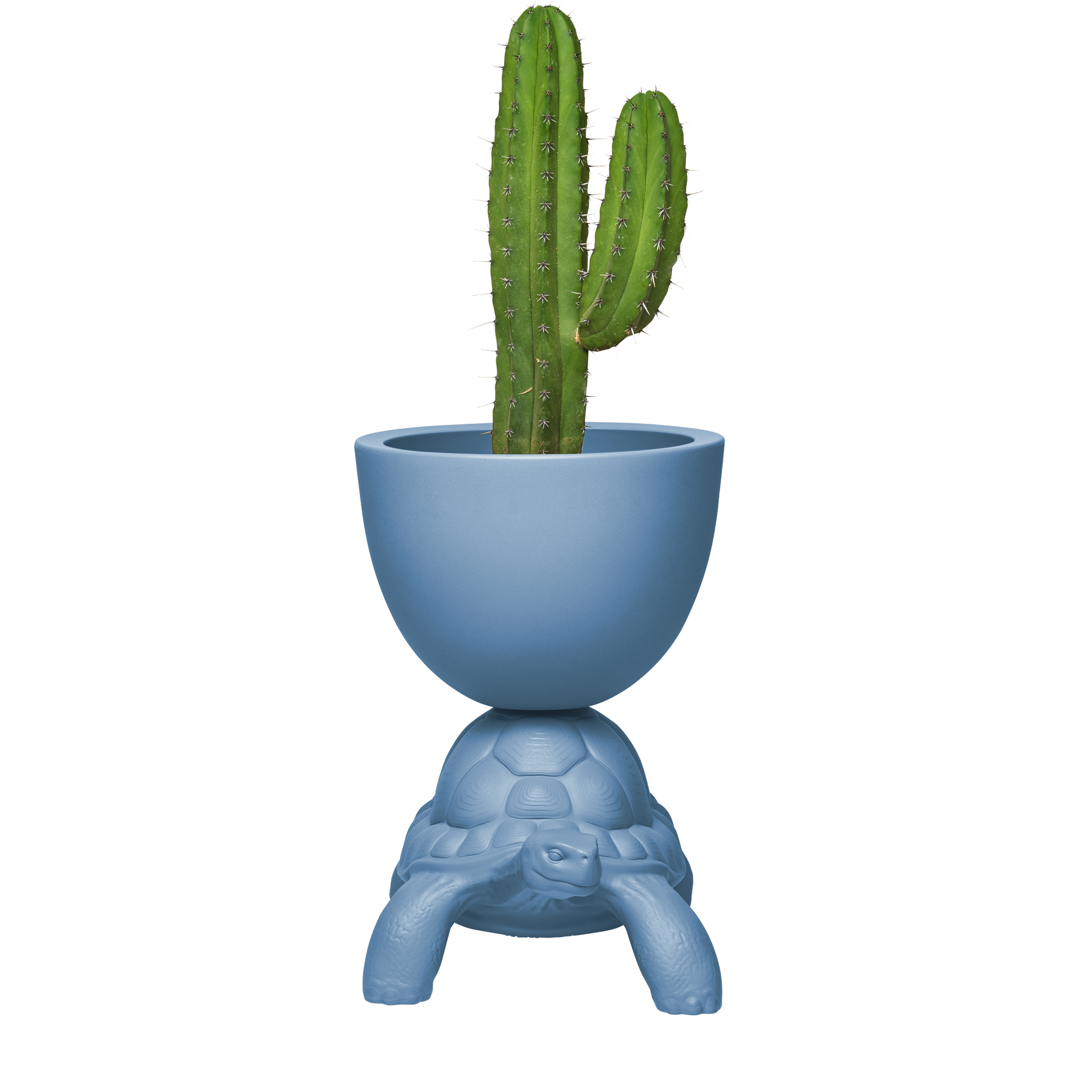 Turtle Carry Planter by Marcantonio - Milk Concept Boutique