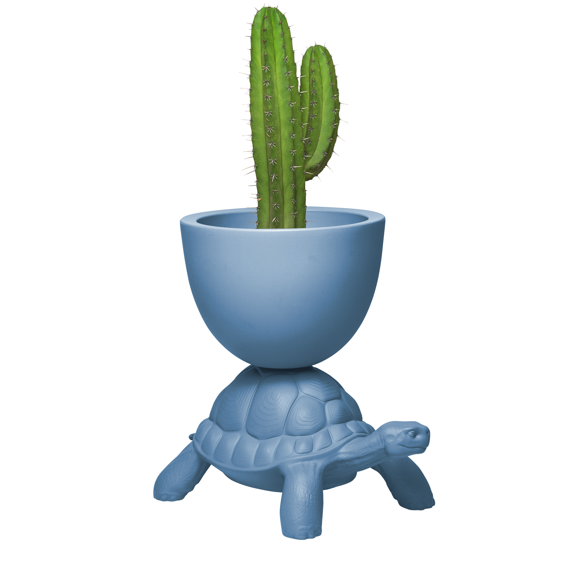 Turtle Carry Planter by Marcantonio - Milk Concept Boutique