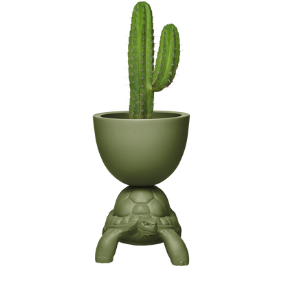 Turtle Carry Planter by Marcantonio - Milk Concept Boutique