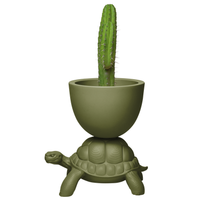 Turtle Carry Planter by Marcantonio - Milk Concept Boutique