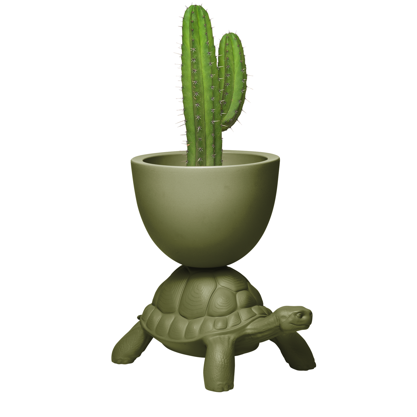 Turtle Carry Planter by Marcantonio - Milk Concept Boutique