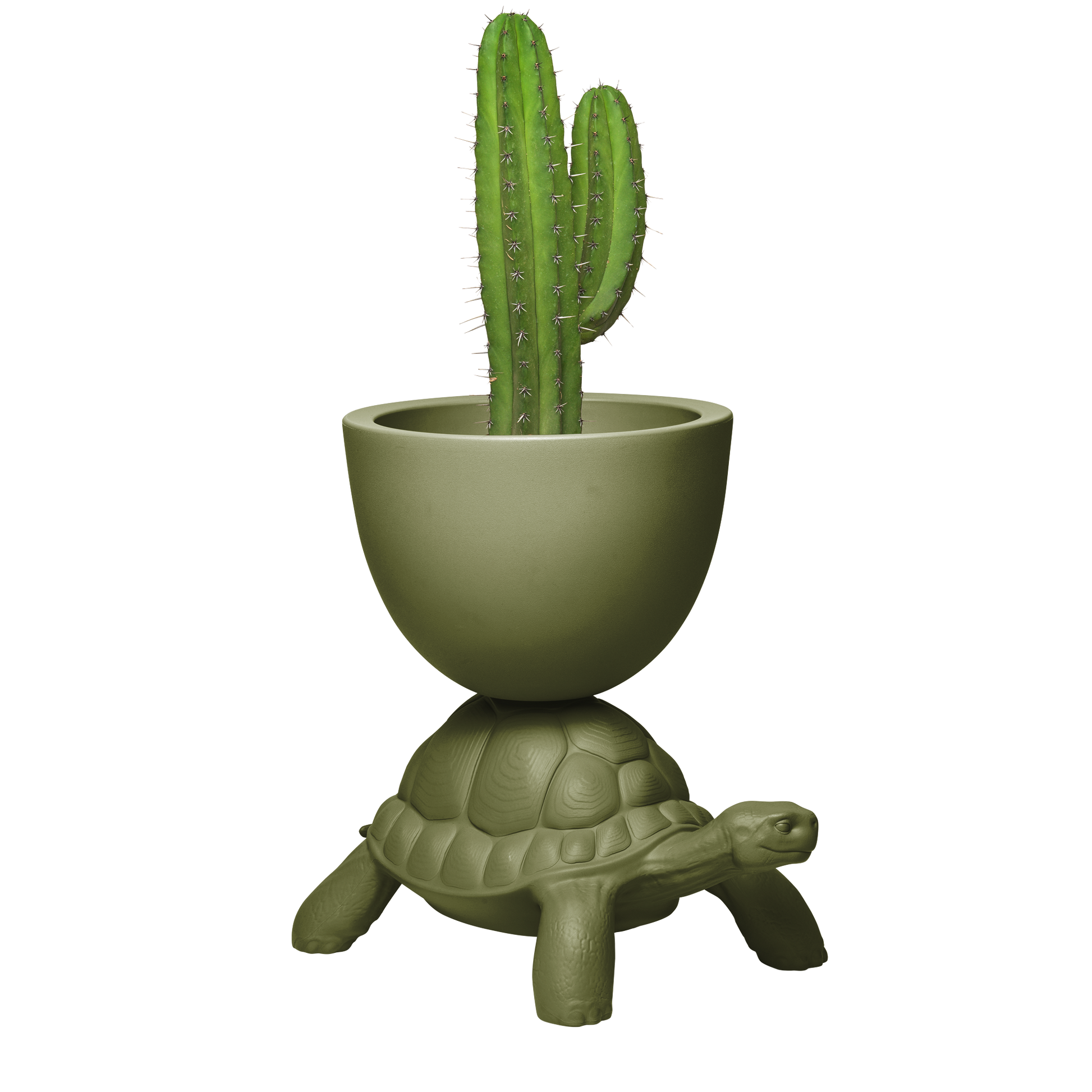 Turtle Carry Planter by Marcantonio - Milk Concept Boutique