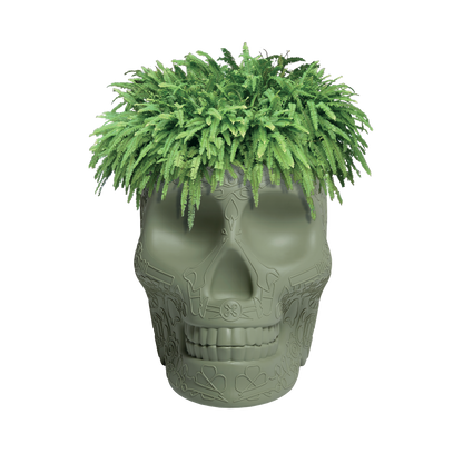 MEXICO Planter and Champagne Cooler by Studio Job - Milk Concept Boutique