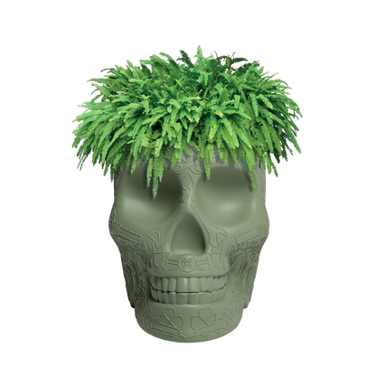 MEXICO Planter and Champagne Cooler by Studio Job - Milk Concept Boutique
