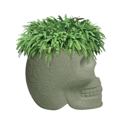 MEXICO Planter and Champagne Cooler by Studio Job - Milk Concept Boutique