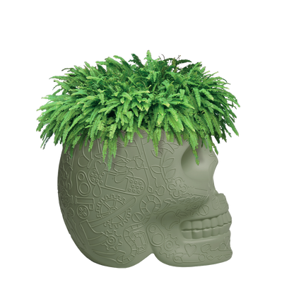 MEXICO Planter and Champagne Cooler by Studio Job - Milk Concept Boutique