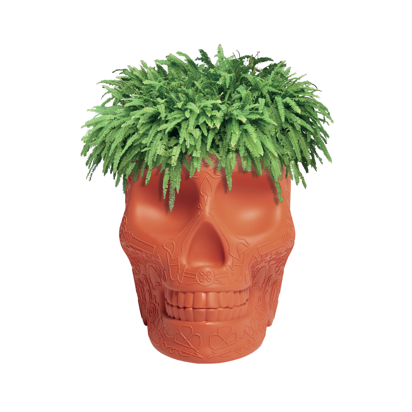 MEXICO Planter and Champagne Cooler by Studio Job - Milk Concept Boutique
