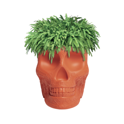 MEXICO Planter and Champagne Cooler by Studio Job - Milk Concept Boutique