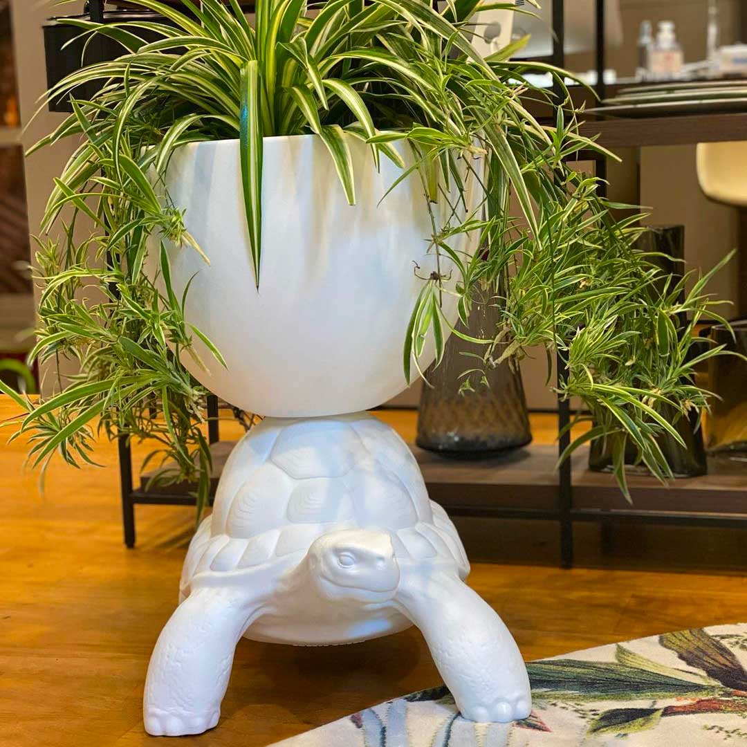 Turtle Carry Planter by Marcantonio - Milk Concept Boutique