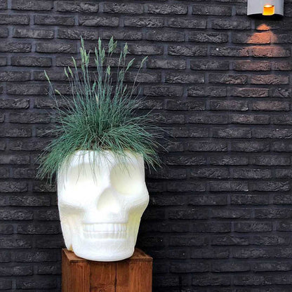 MEXICO Planter and Champagne Cooler by Studio Job - Milk Concept Boutique
