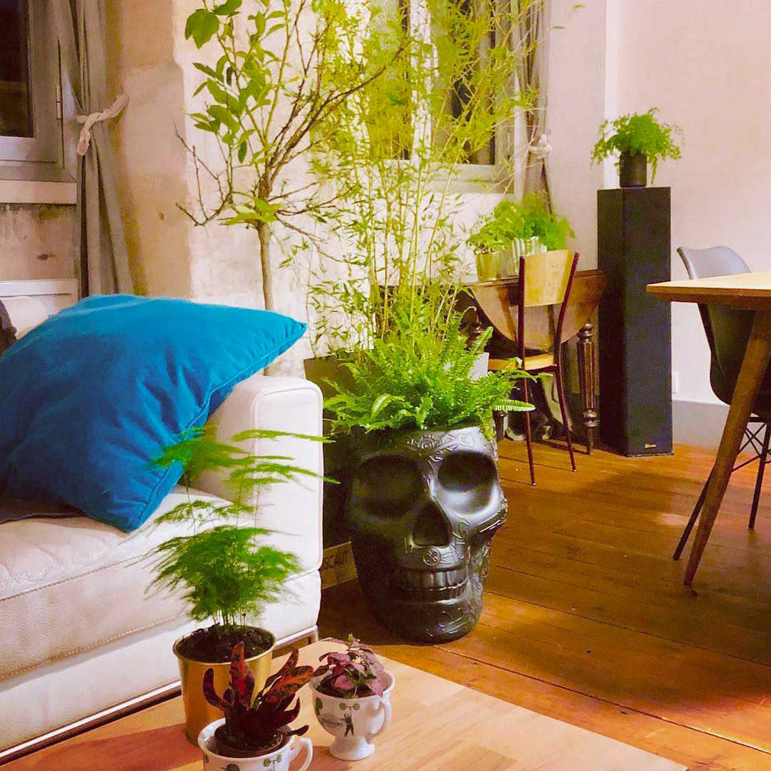MEXICO Planter and Champagne Cooler by Studio Job - Milk Concept Boutique