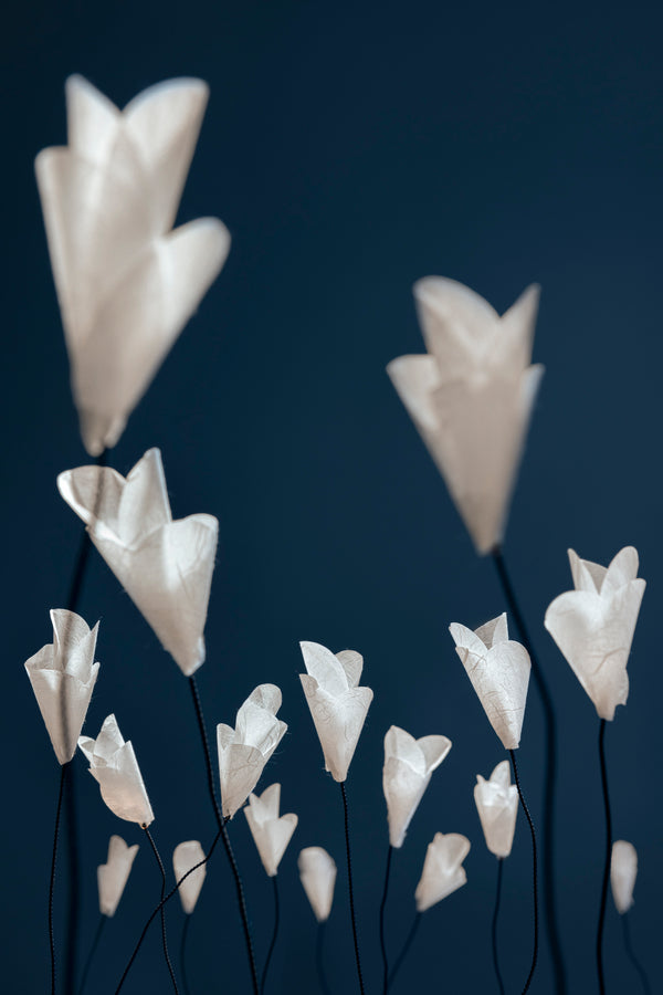 For-You-group-off-2.jpg?v=1738317457&width=600
