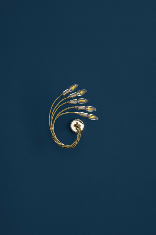 Catellani&Smith, Turciu' 5