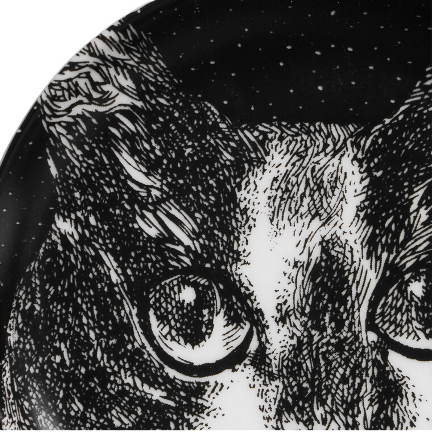 Fornasetti coaster GATTO nr 1