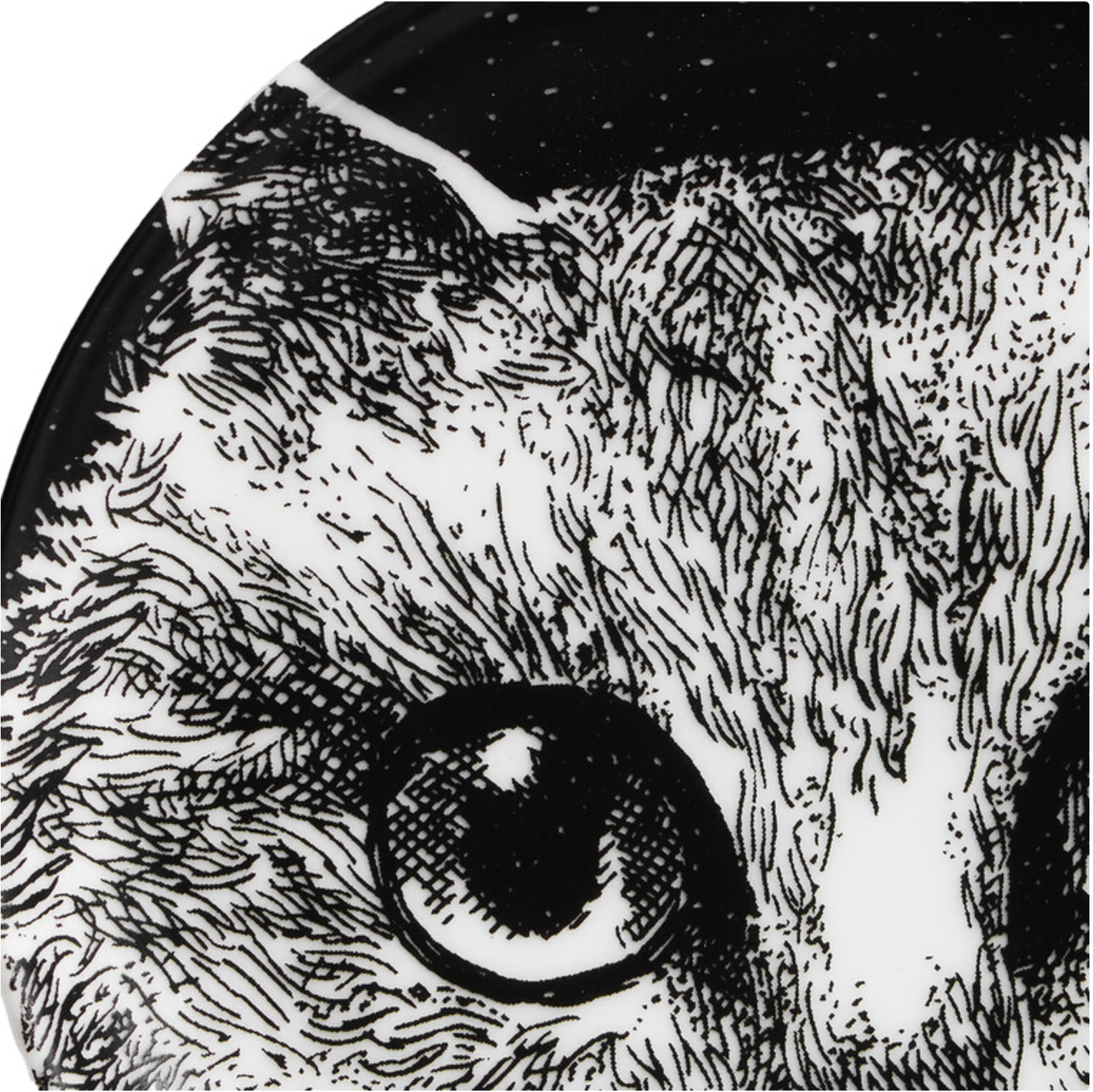 Fornasetti coaster GATTO nr 3 - Milk Concept Boutique