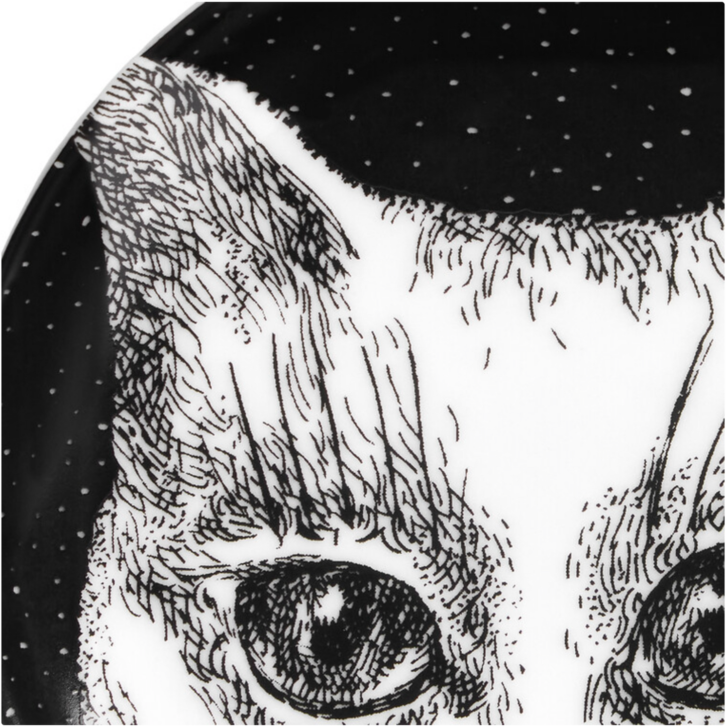 Fornasetti coaster GATTO nr 4 - Milk Concept Boutique