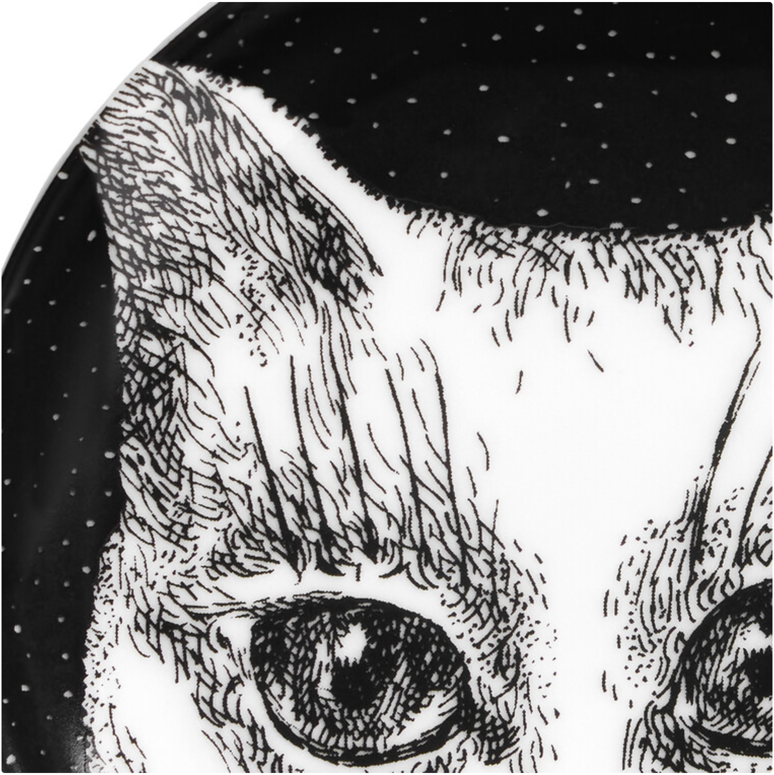 Fornasetti coaster GATTO nr 4 - Milk Concept Boutique