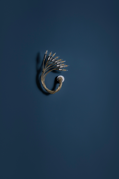 Catellani&Smith, Turciu' 9