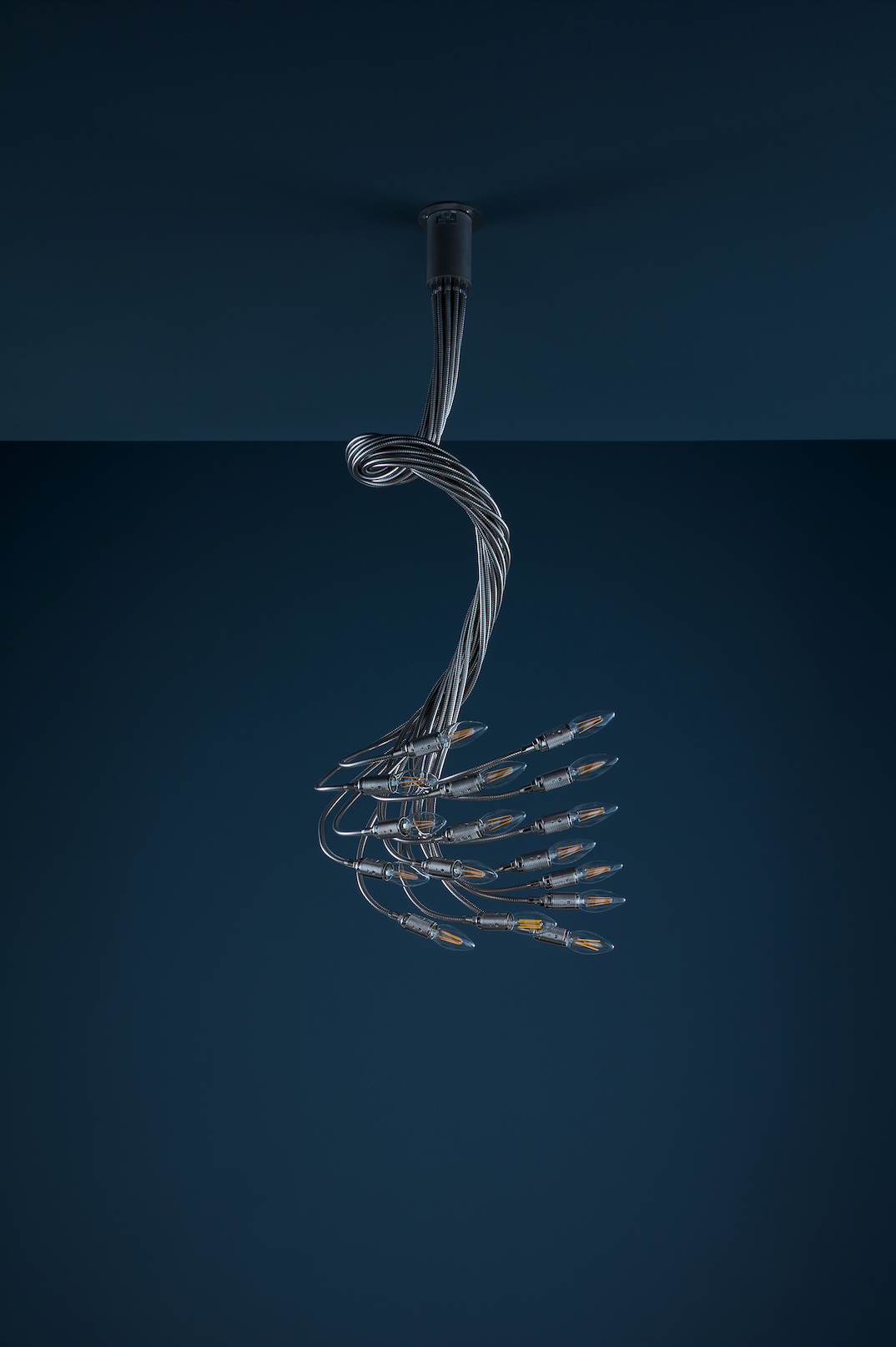 Catellani&Smith, Turciu' 16