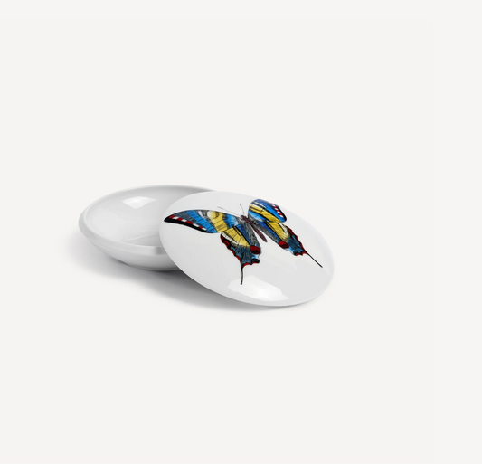 Fornasetti Round box Farfalle multicolour